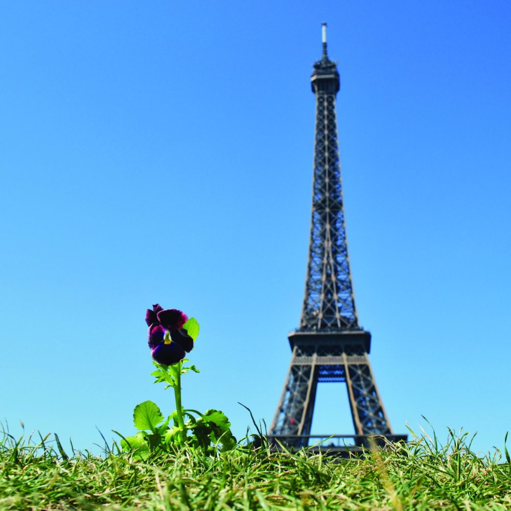 Paris Tour Effiel